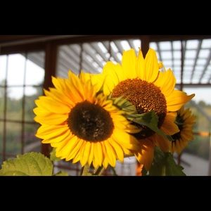 Meet your Posher, Julia